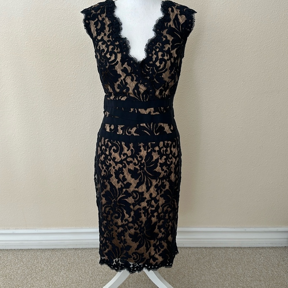 Tadashi Shoji Lace Scalloped Dress